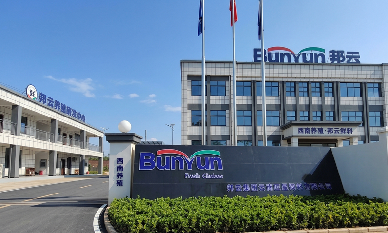 邦云·云南匠星