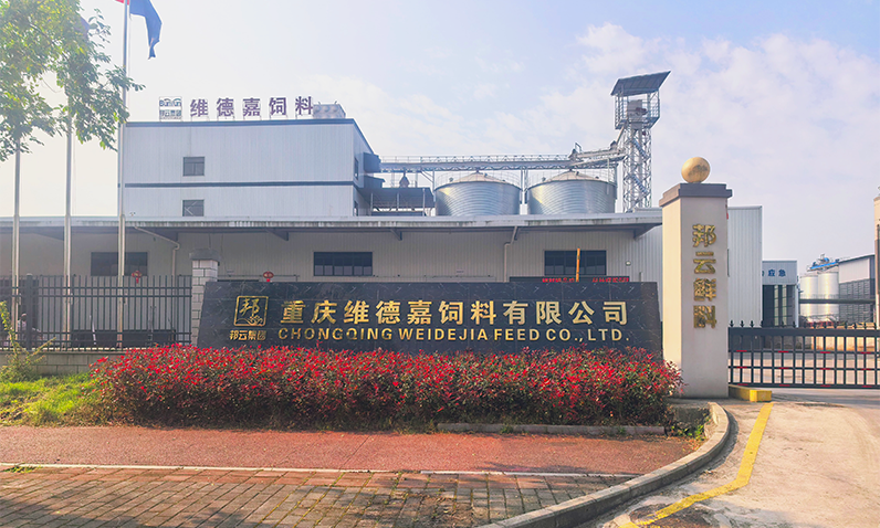 邦云·重庆维德嘉