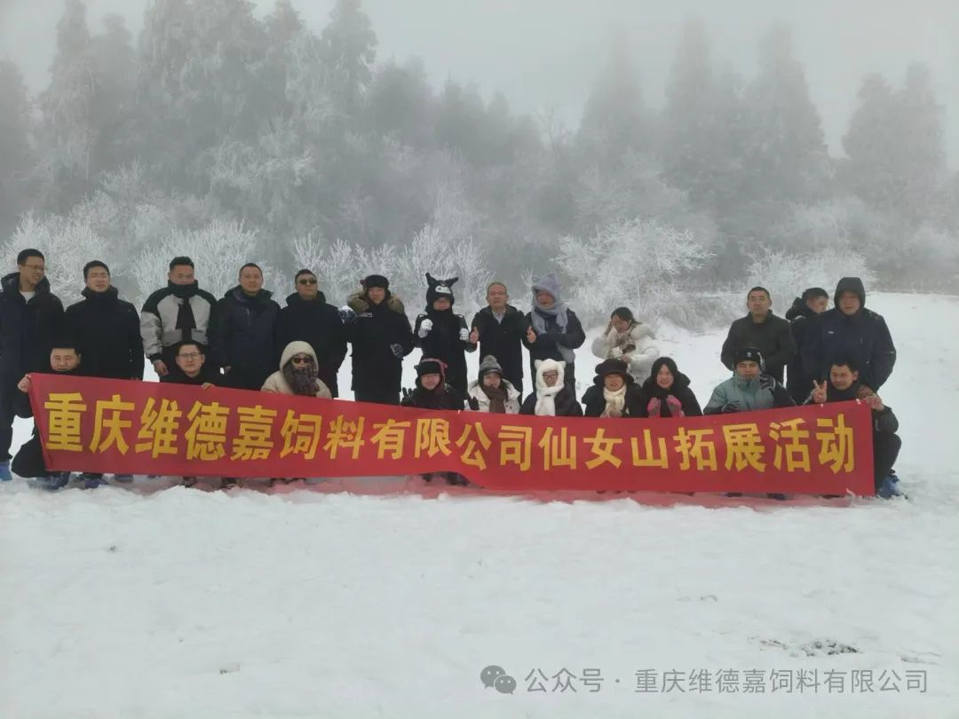 图片17.png